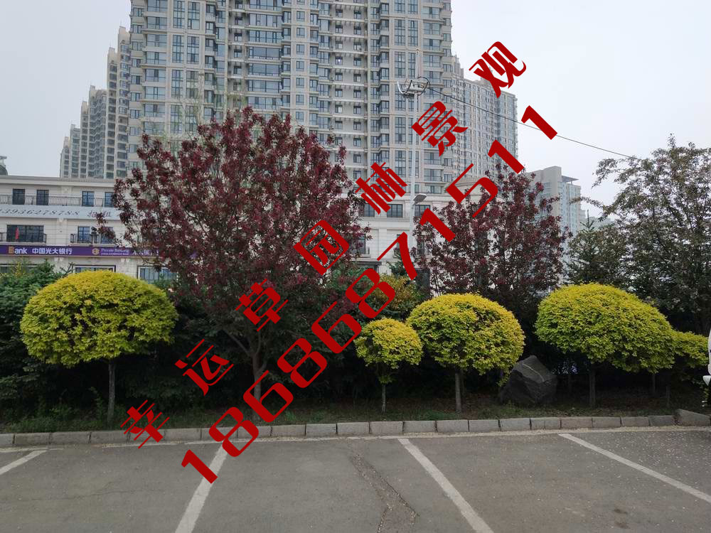 园林绿化工程