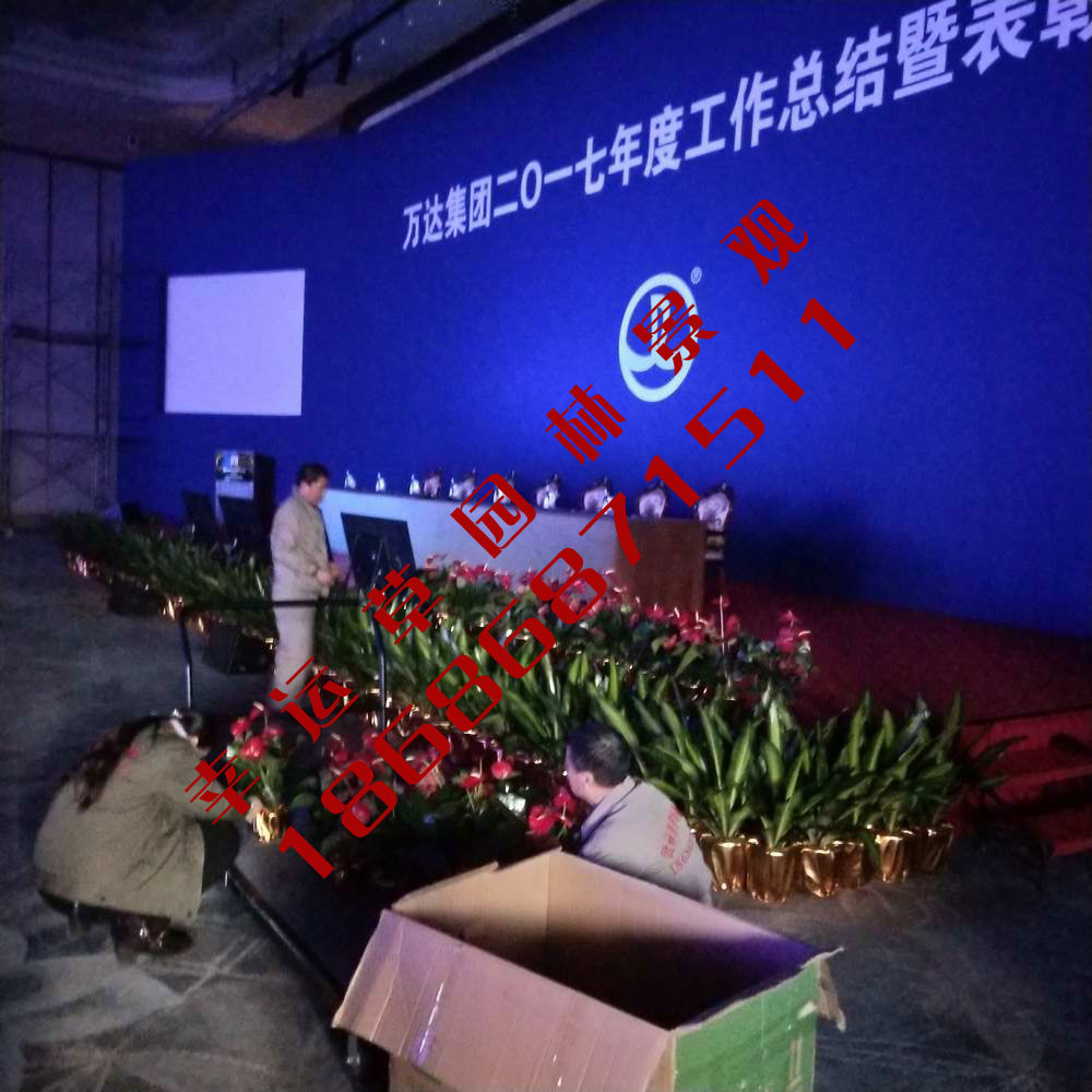 绿植租摆