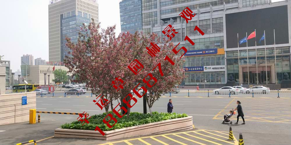 园林绿化工程