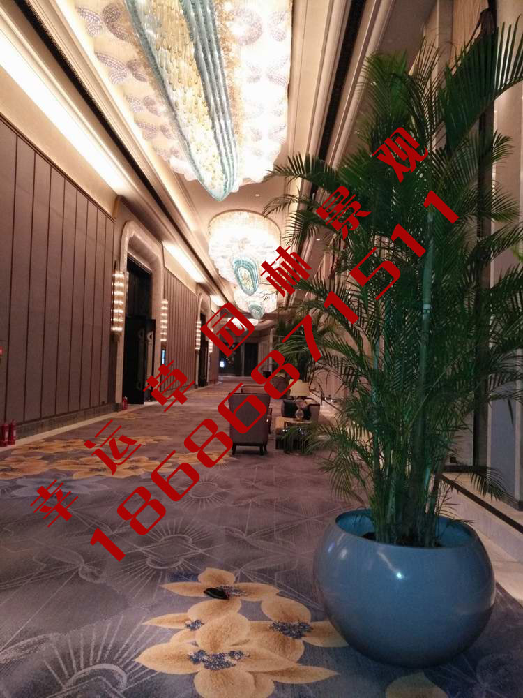 绿植租摆