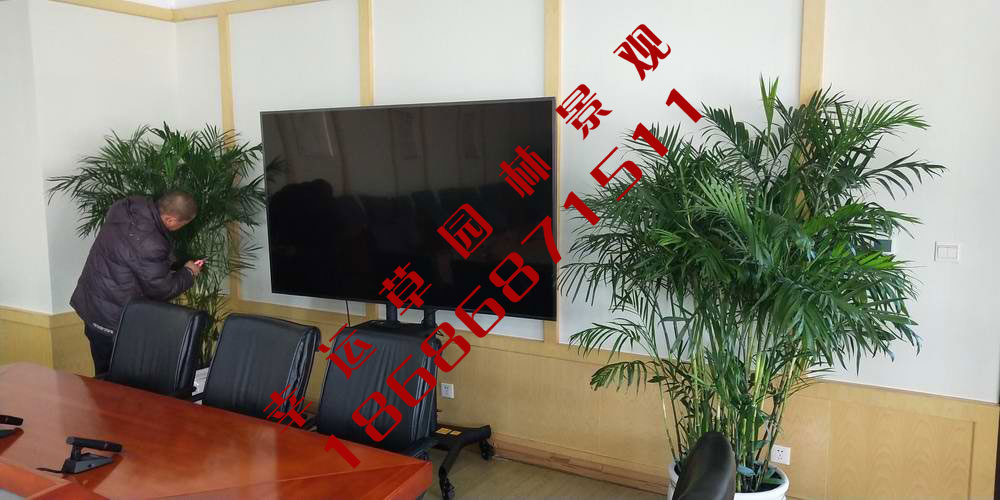 绿植租摆