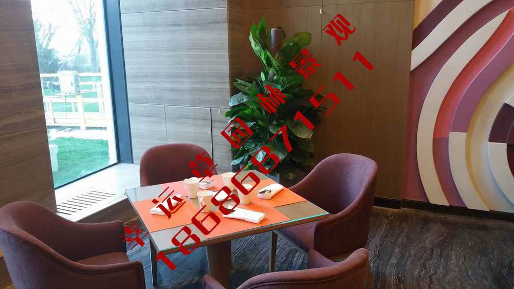绿植租摆
