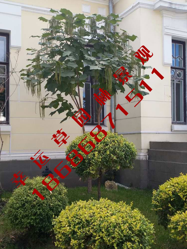 园林绿化工程