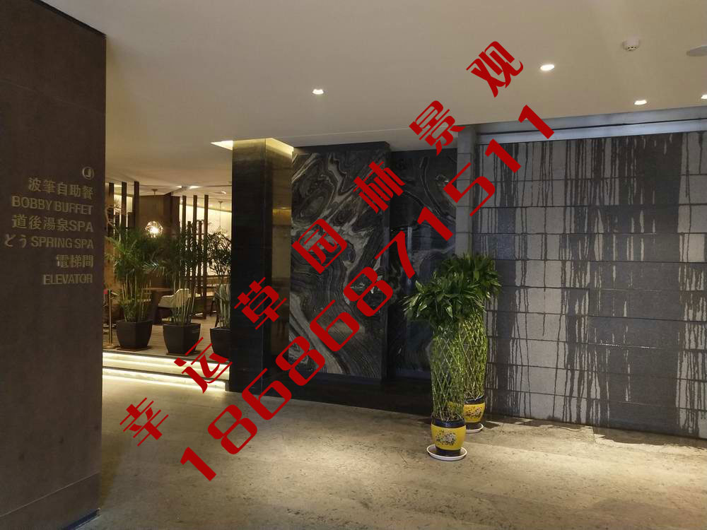 绿植租摆