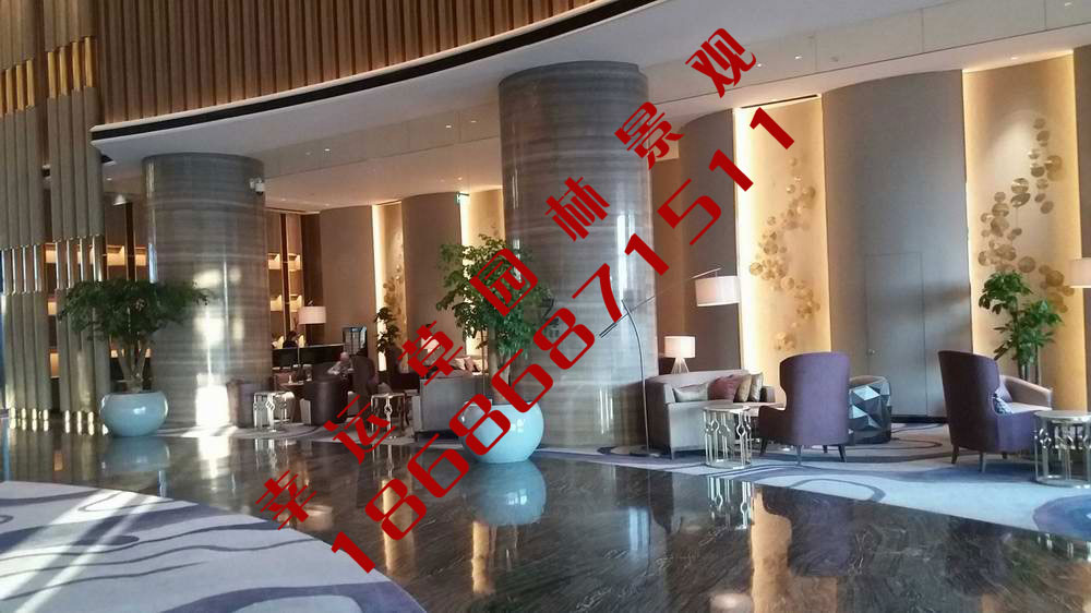 绿植租摆