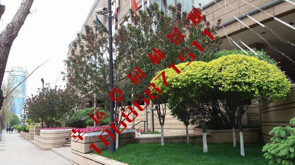 园林绿化工程