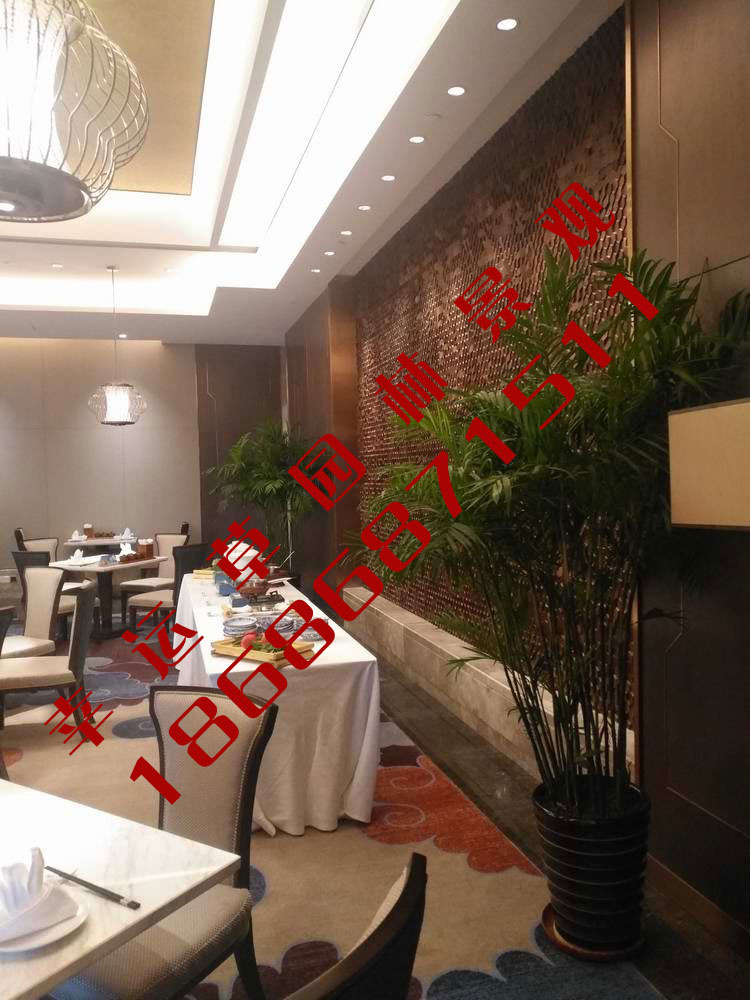 绿植租摆