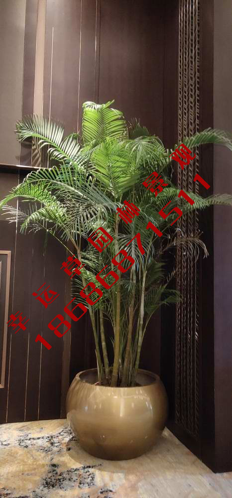 绿植租摆