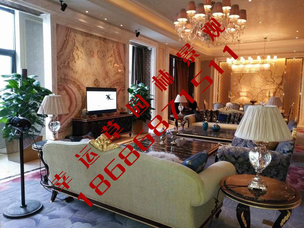 绿植租摆