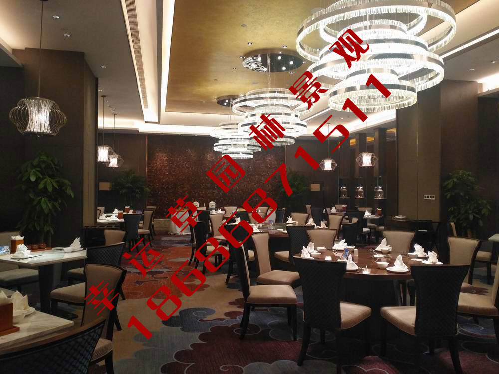 绿植租摆