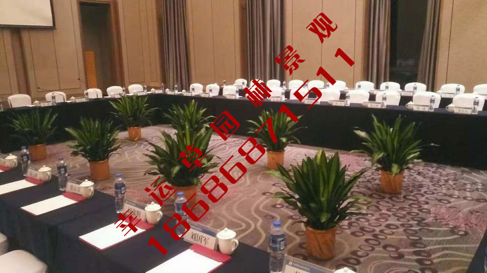 绿植租摆