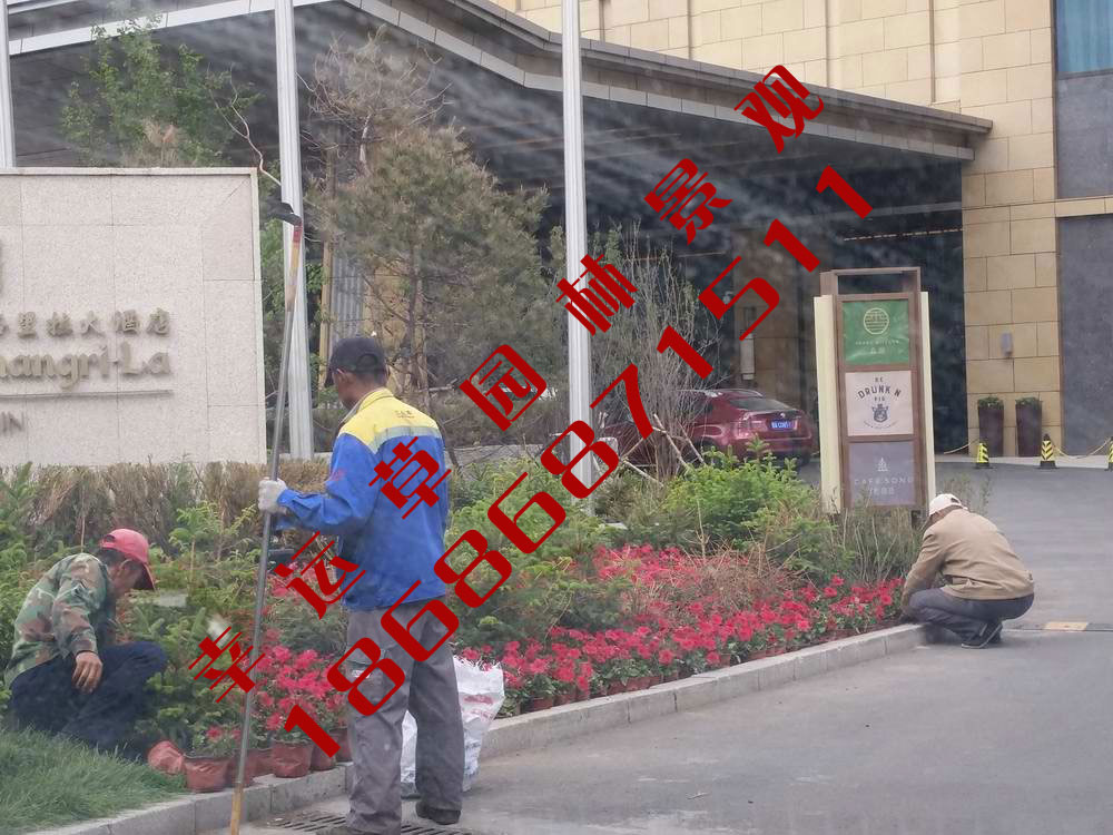园林绿化工程