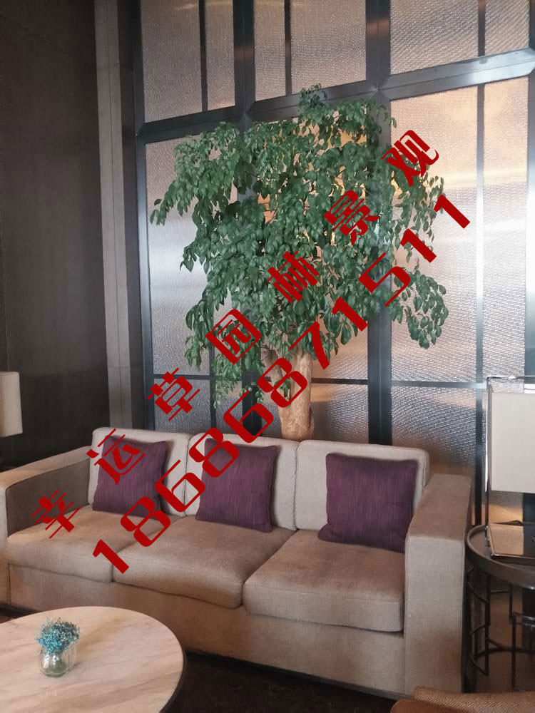 绿植租摆