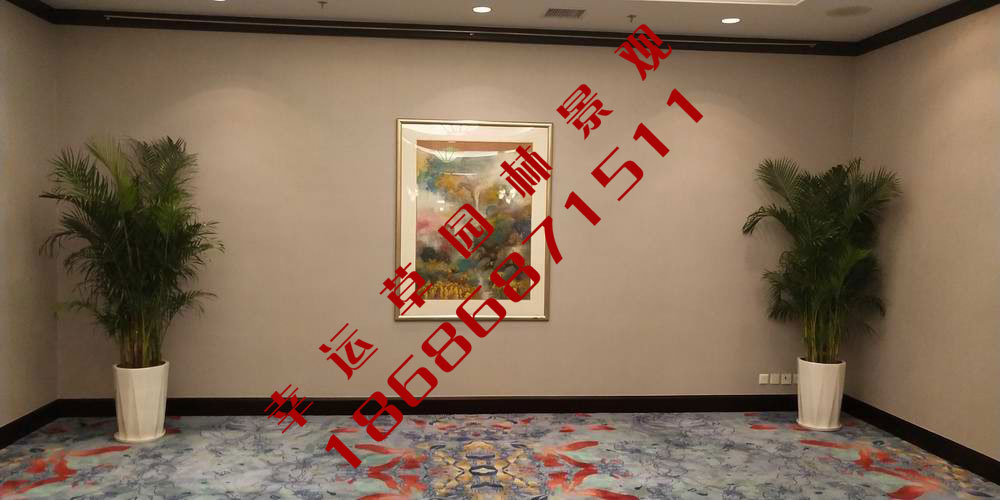 绿植租摆