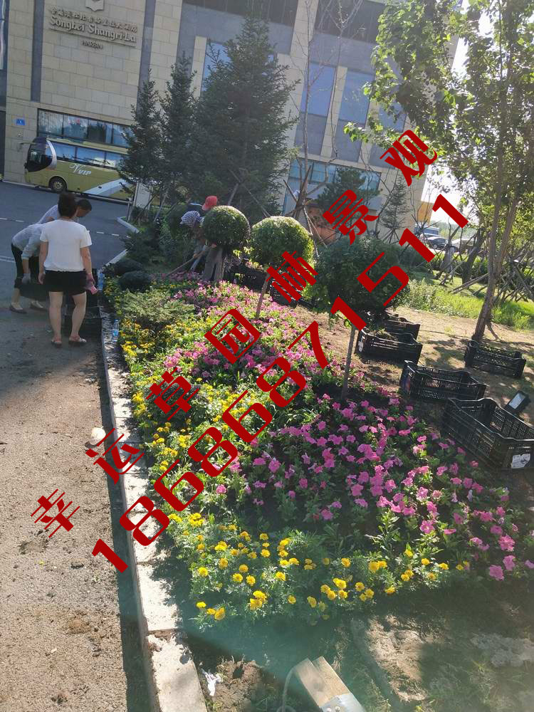 园林绿化工程