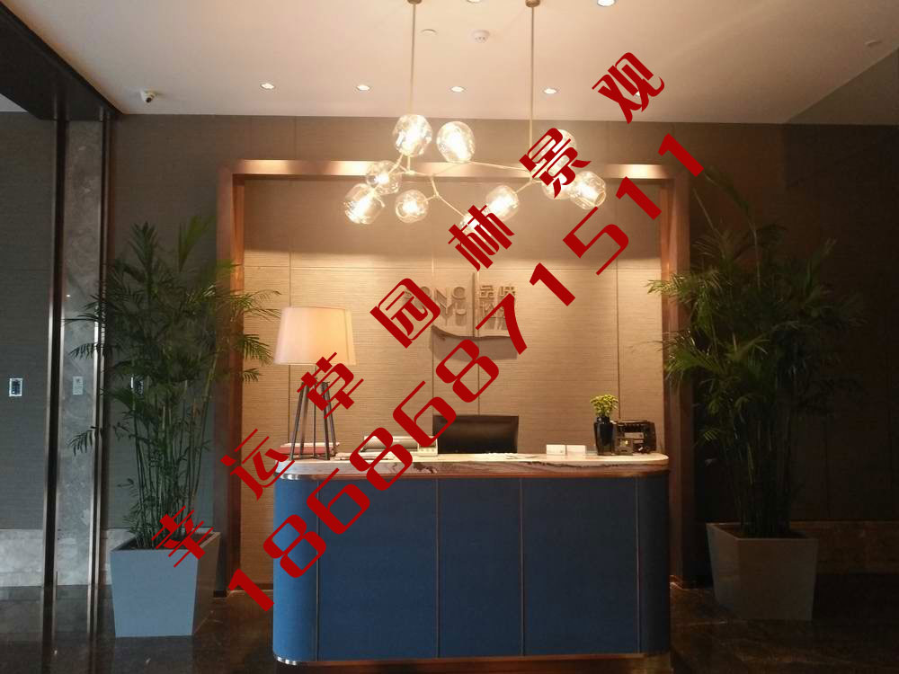 绿植租摆