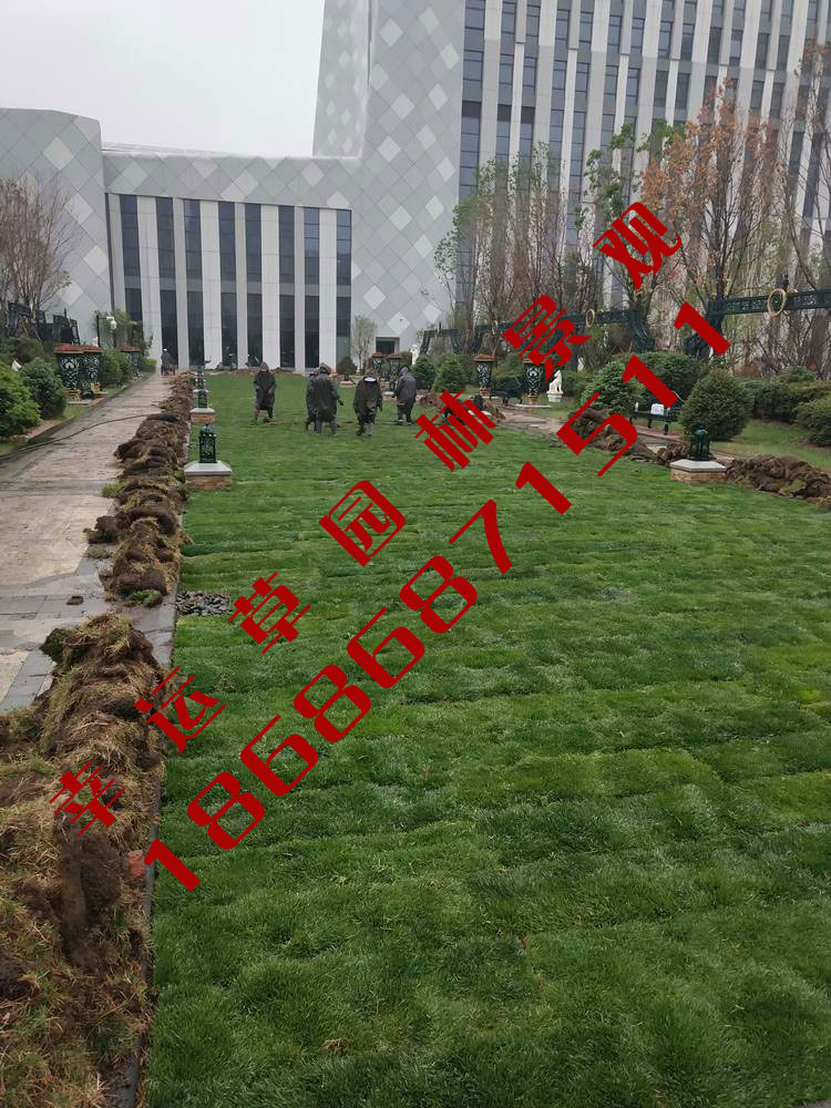 园林绿化工程