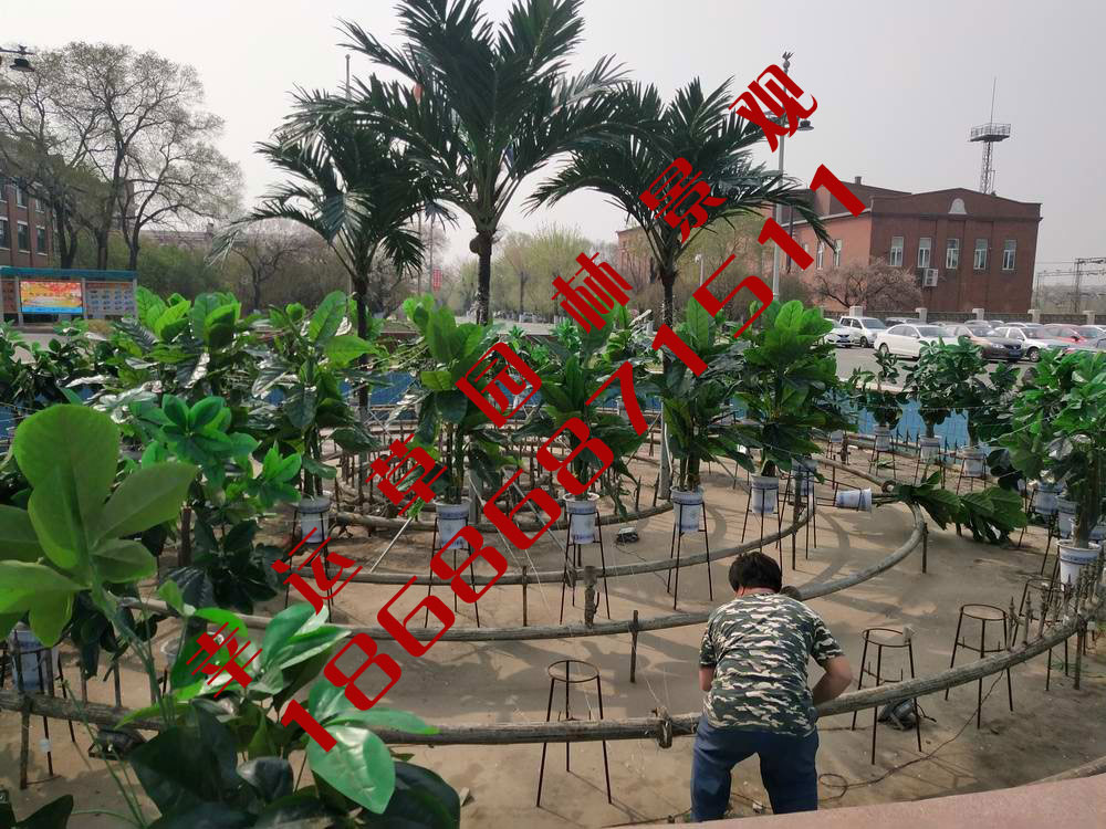 绿植租摆
