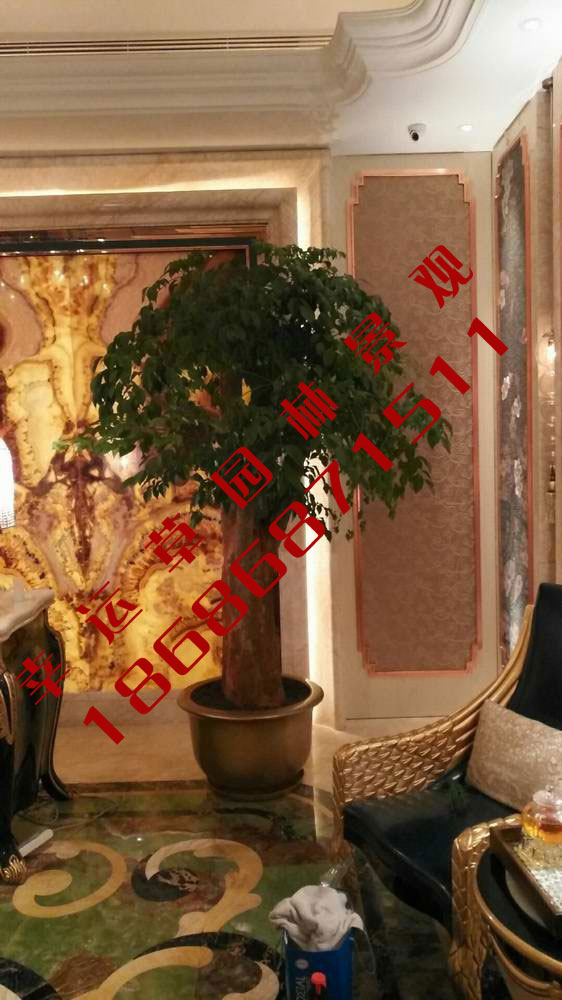 绿植租摆