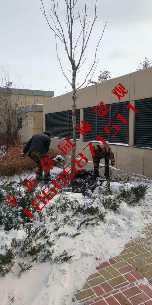 园林绿化工程