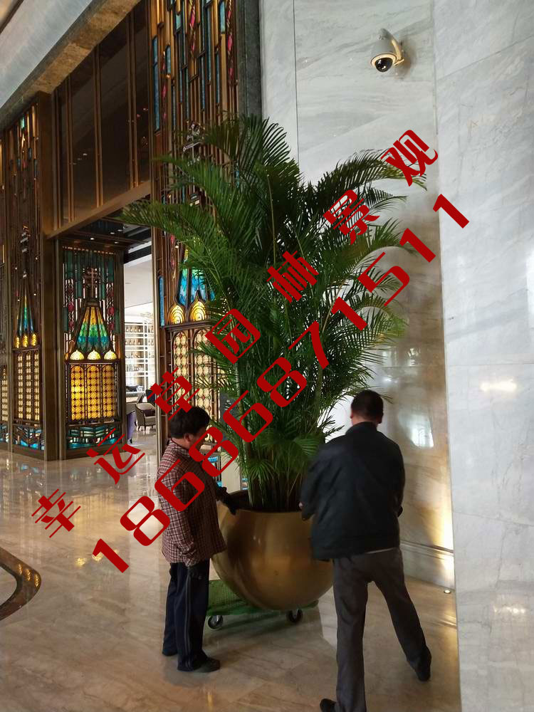 绿植租摆