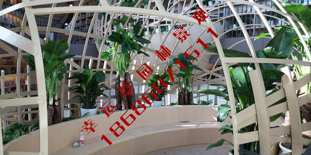 绿植租摆
