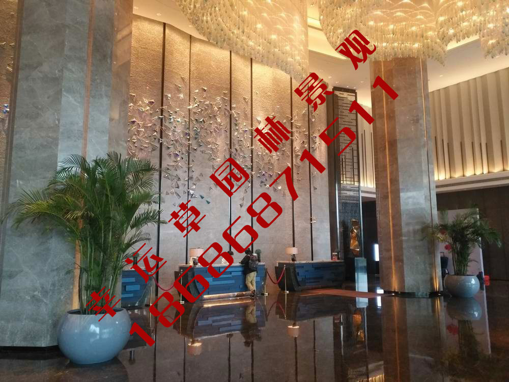 绿植租摆