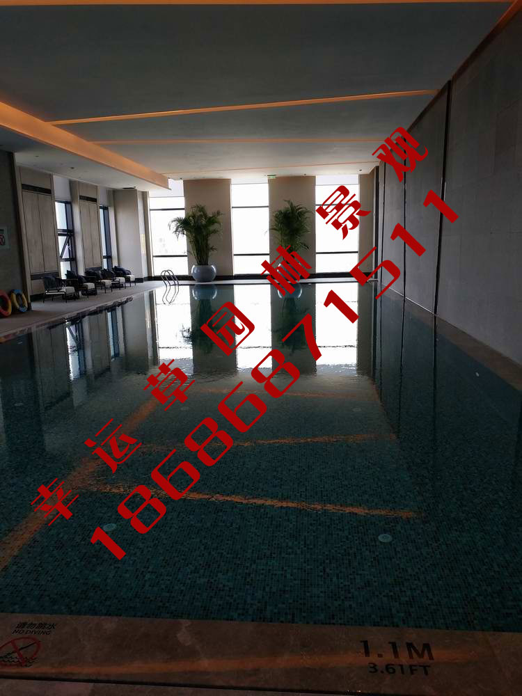 绿植租摆