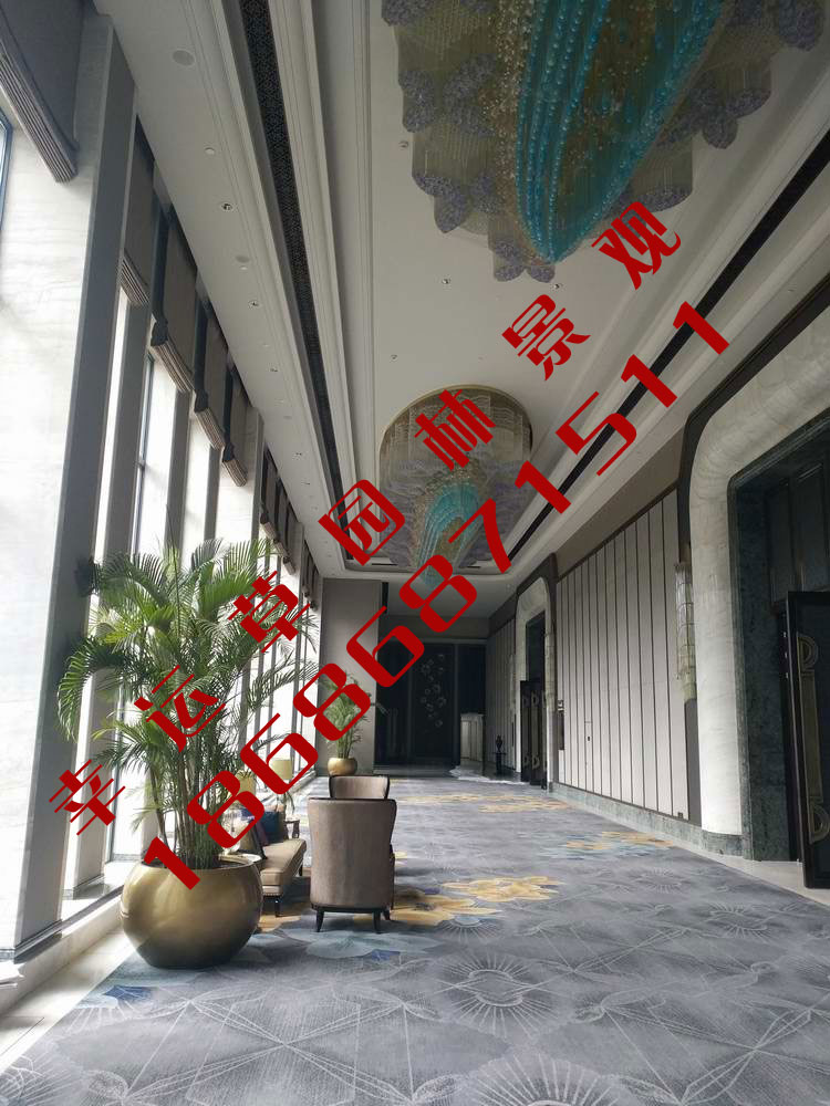 绿植租摆