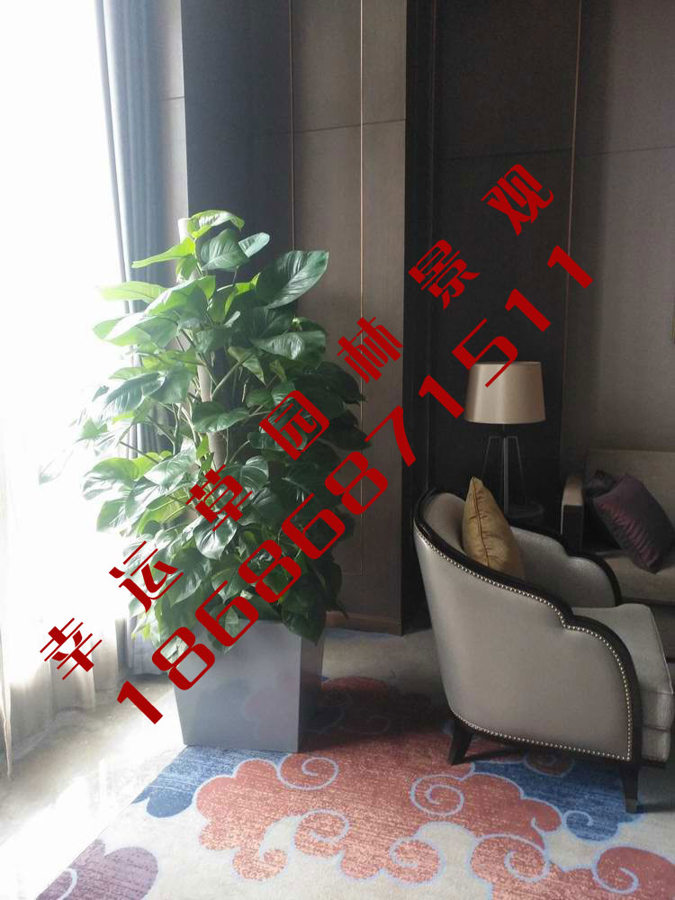 绿植租摆