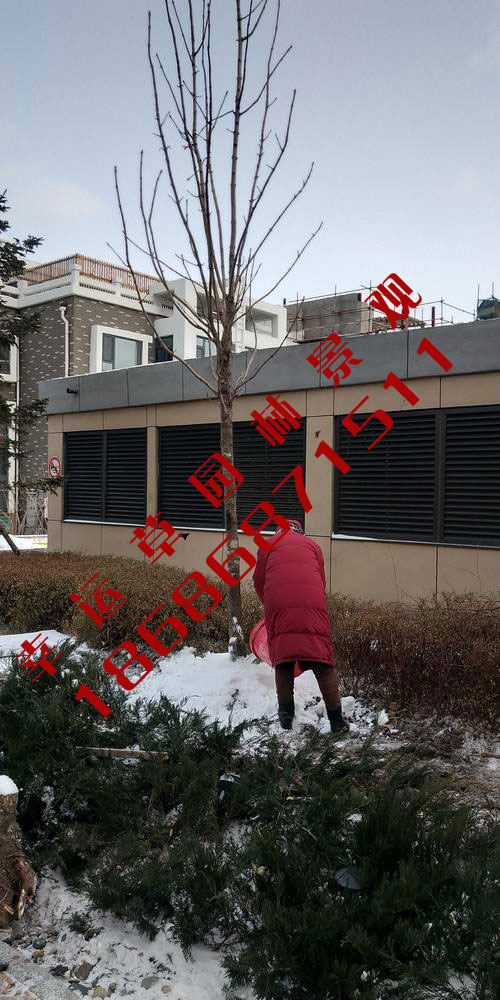 园林绿化工程